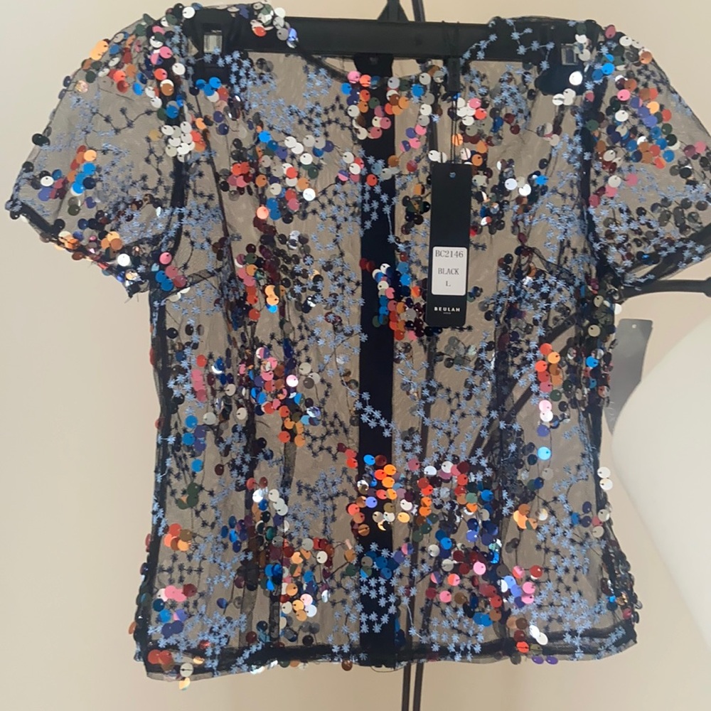 Mesh sequin embroidered top